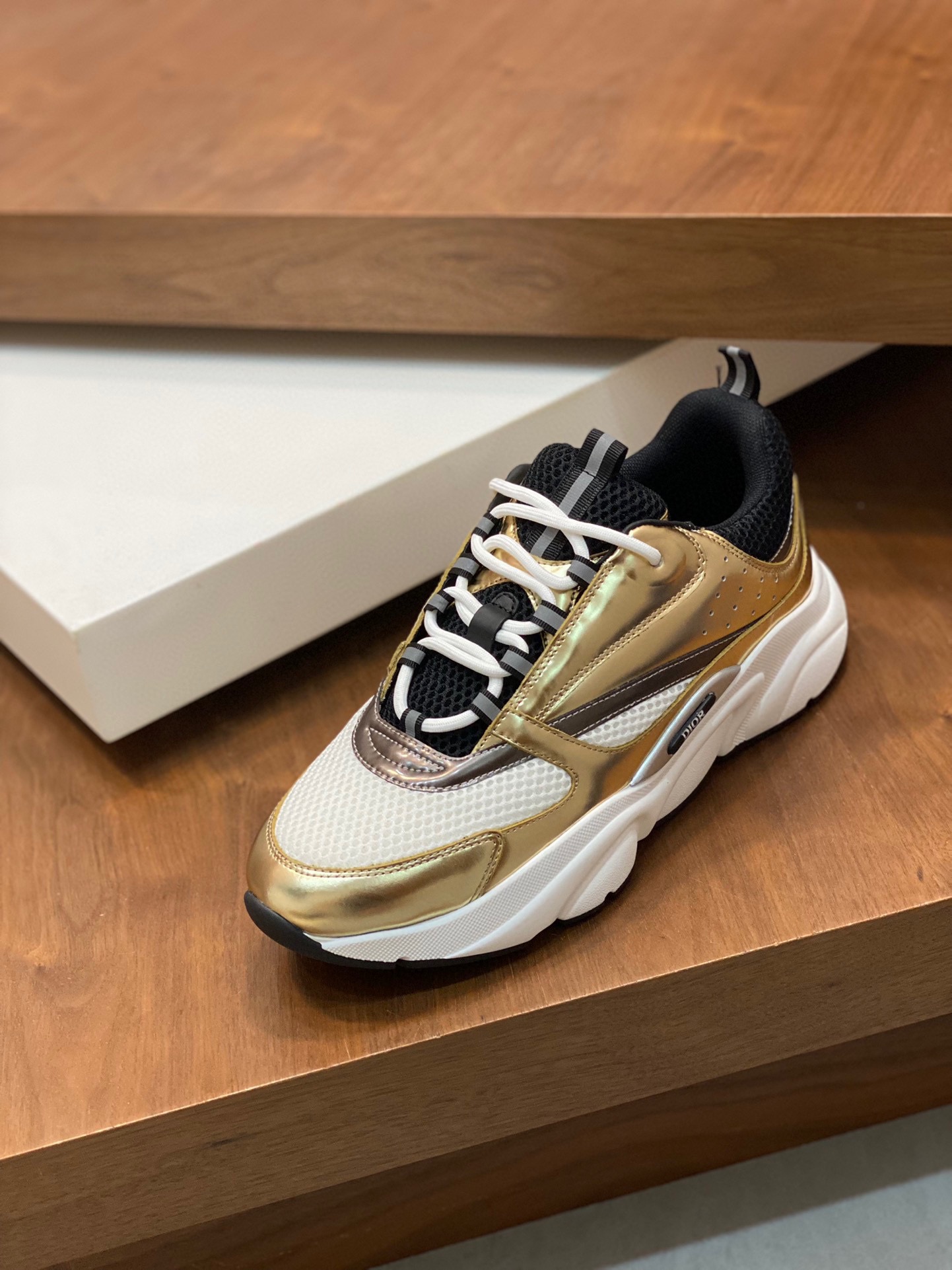 DIOR B22