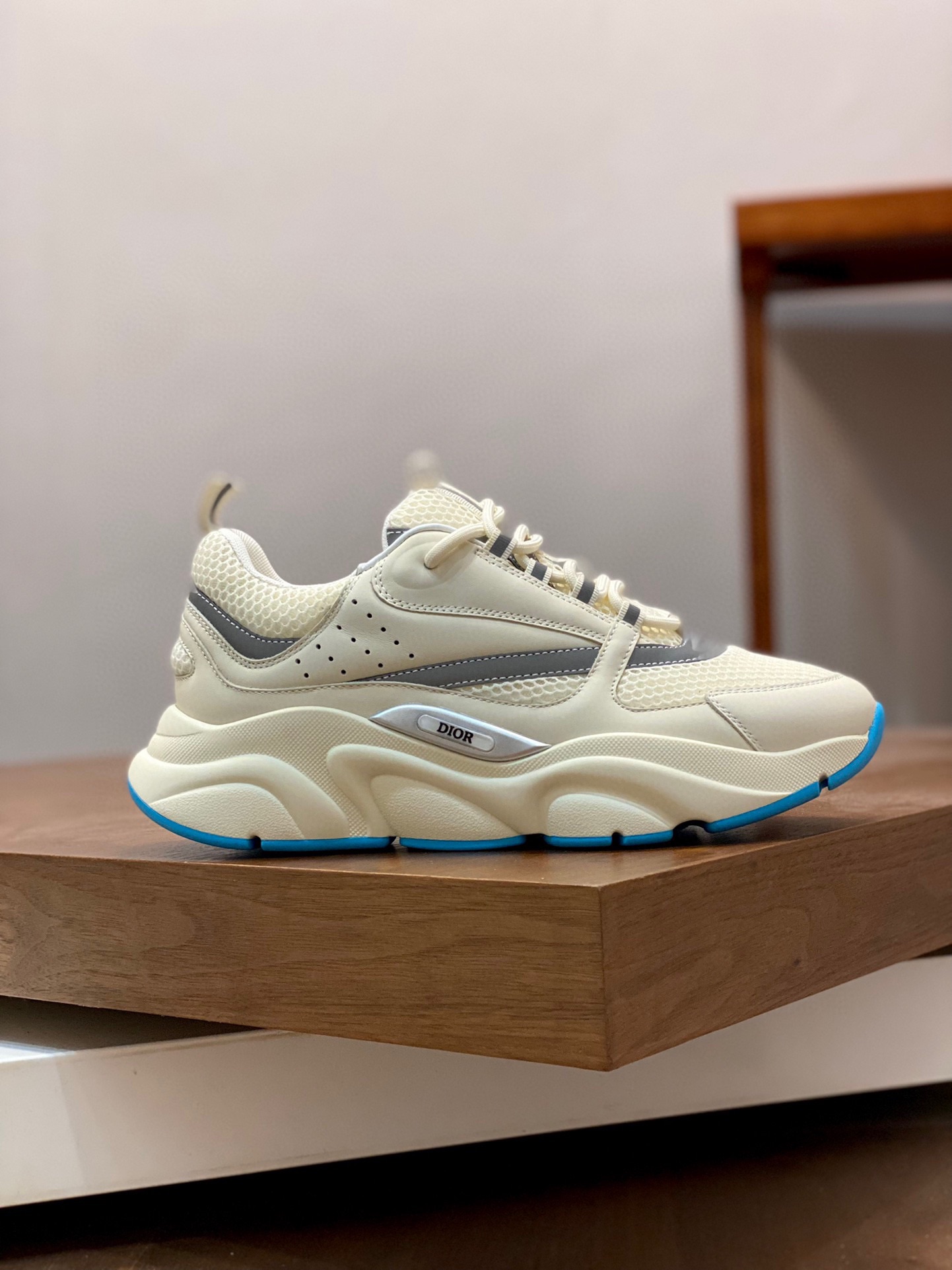 DIOR B22
