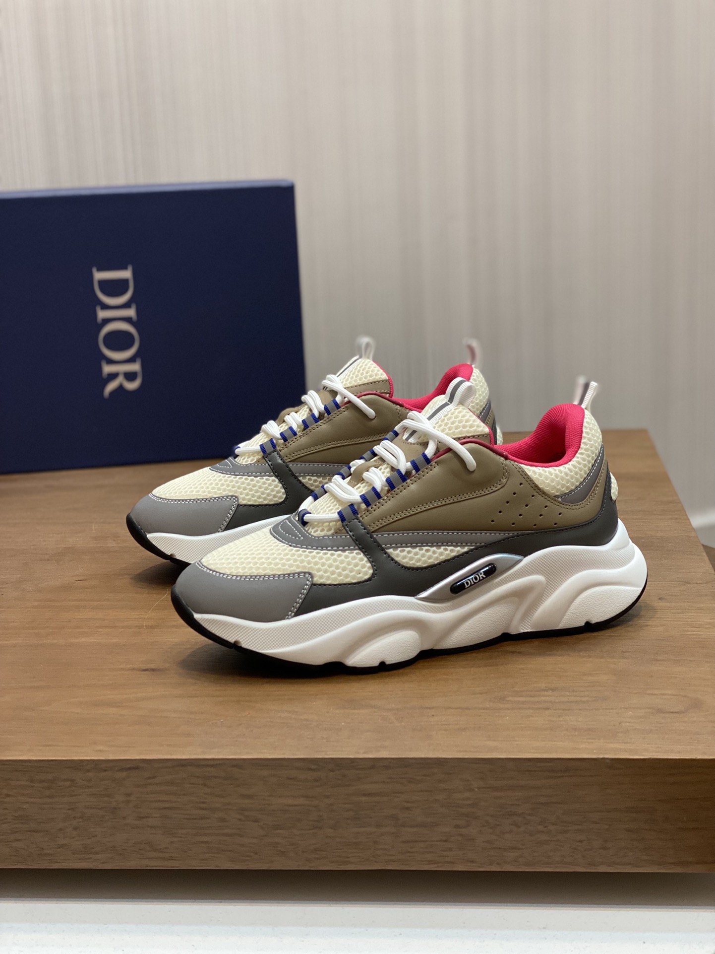 DIOR B22