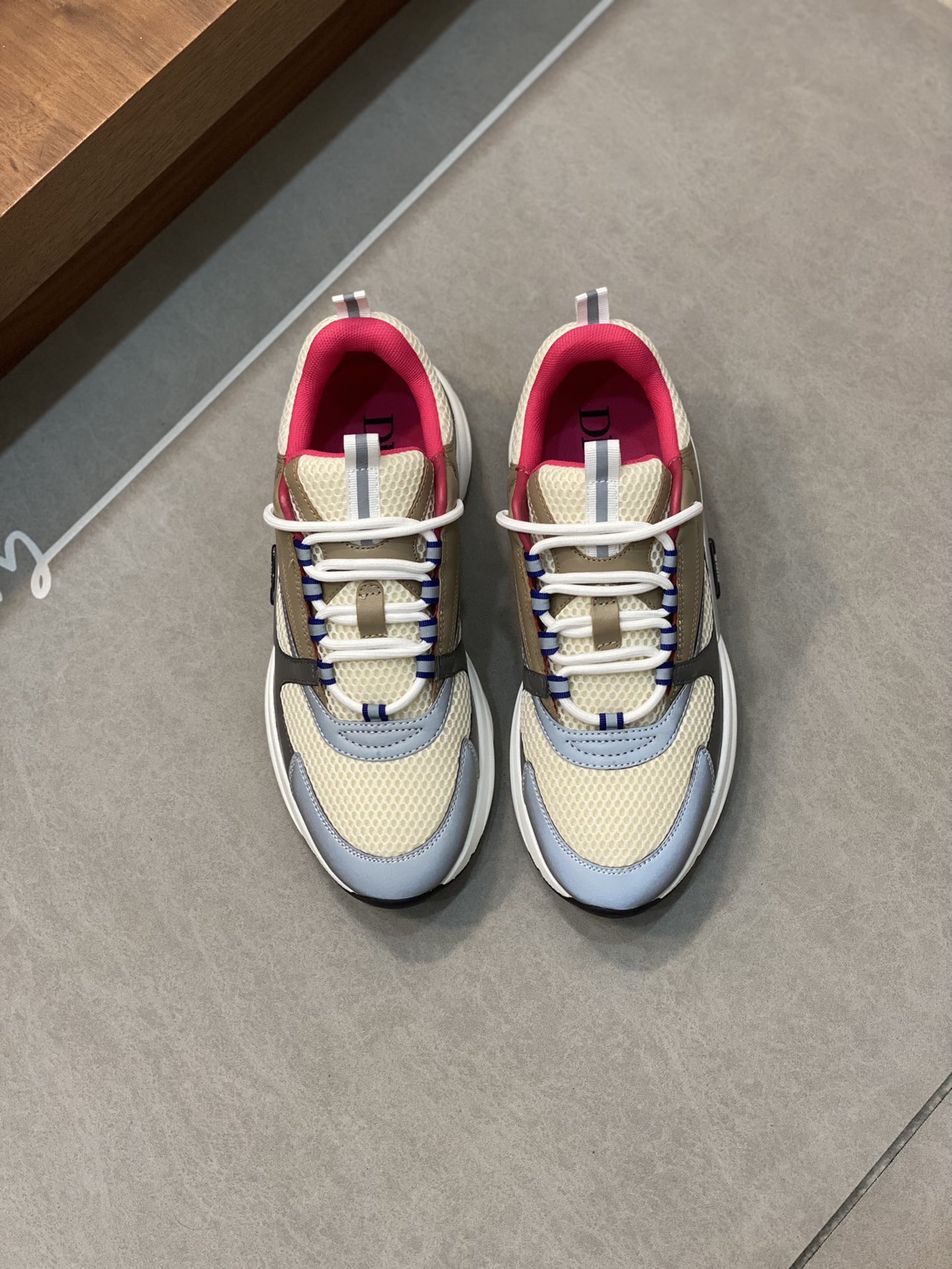 DIOR B22