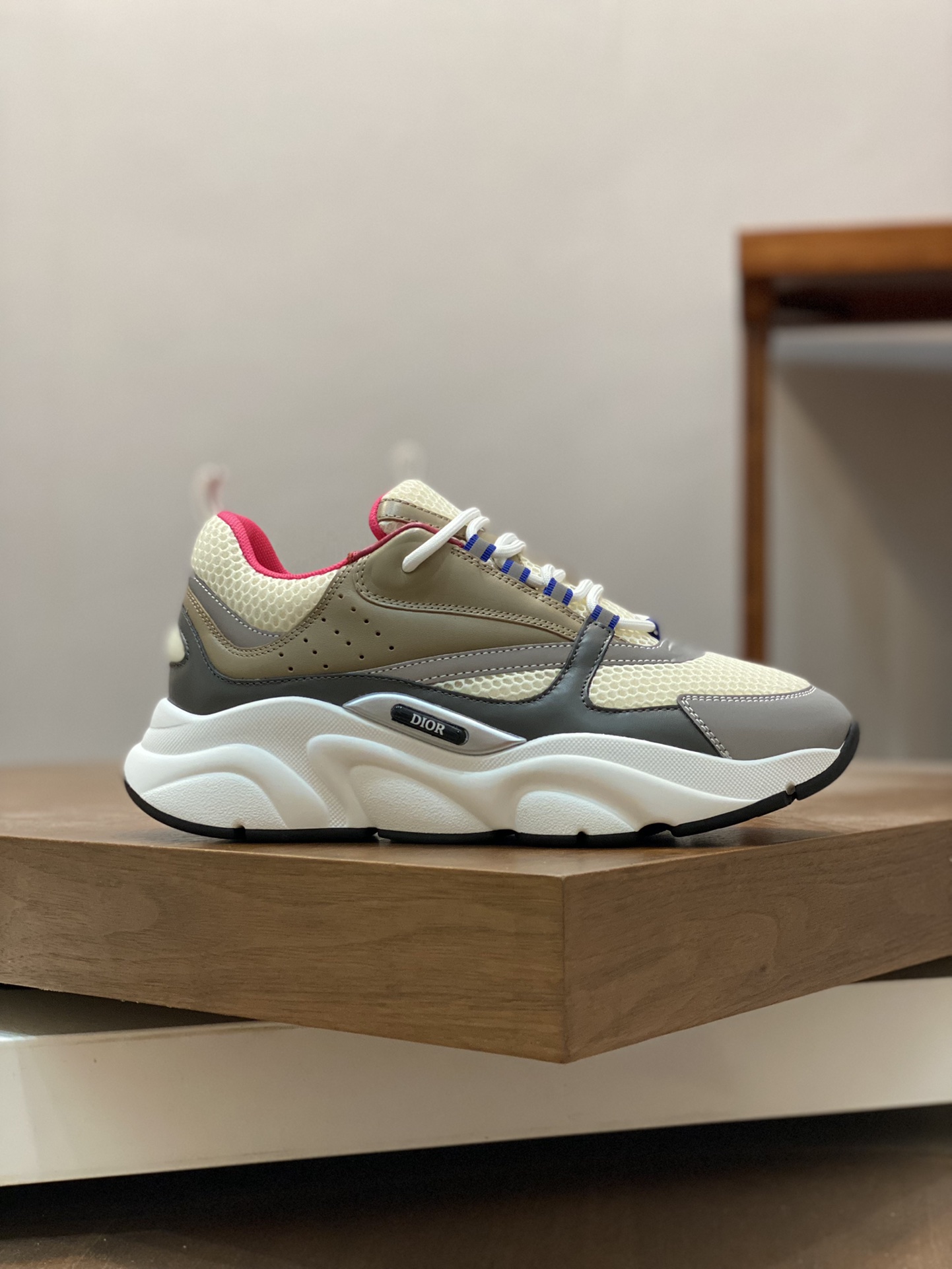DIOR B22