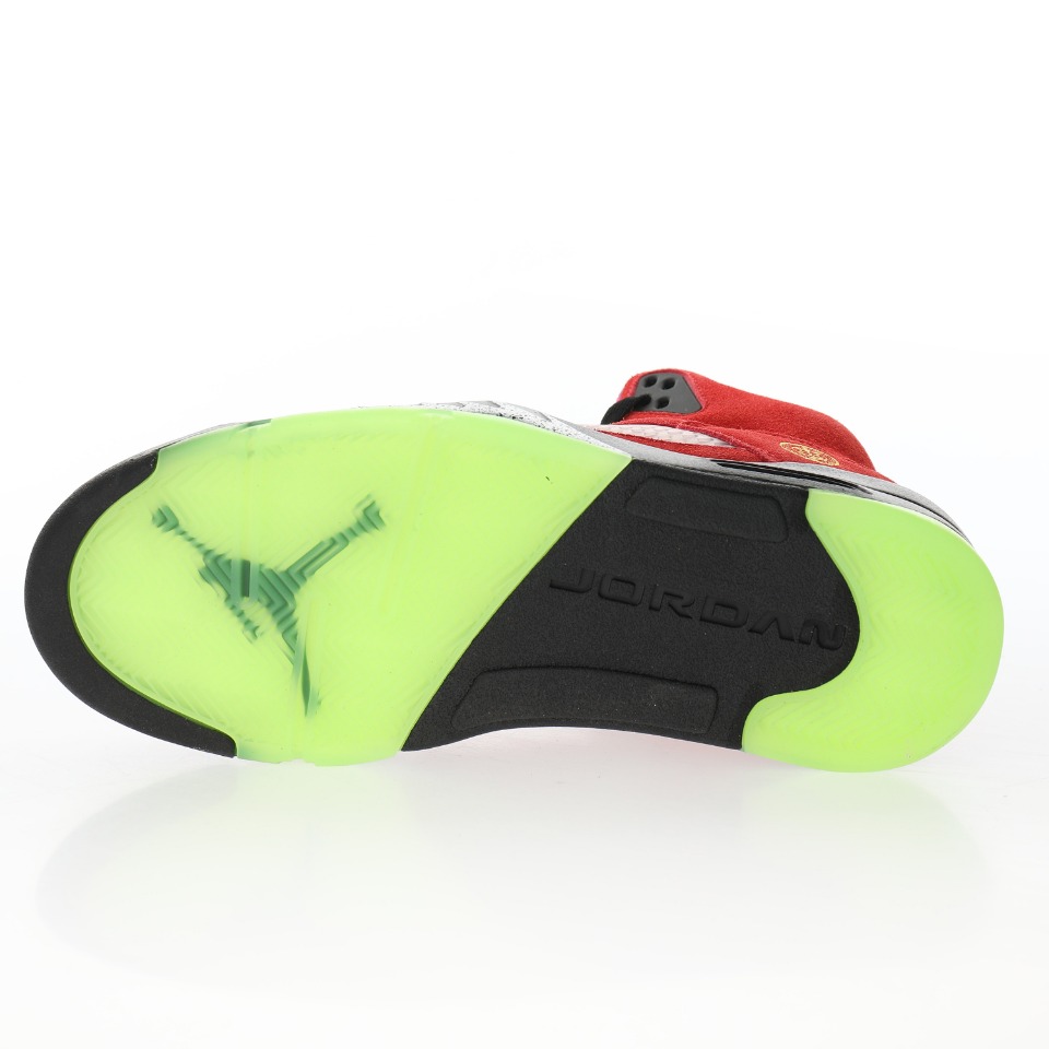 Air Jordan Retro 5 SE"What The"