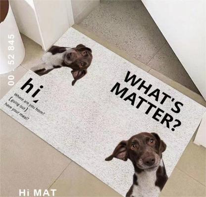 Personalized pvc floor dehumidifier door mat&Personalized welcome mats