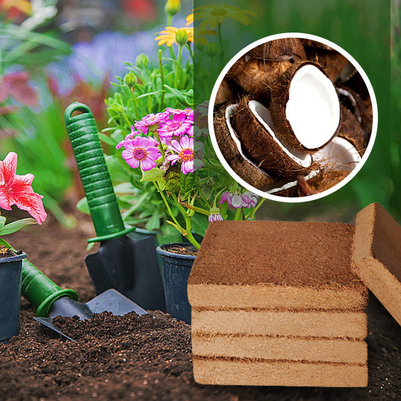 Organic Coconut Coir for Plants（50% OFF)