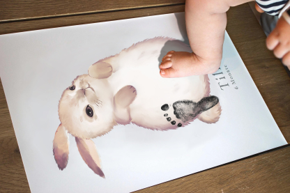 Cute Rabbit, Baby Gift and Pets Gift Personalized,, Footprint Set, Mural Baby & Children's Room Animals,Year of the Rabbit-babyanimal