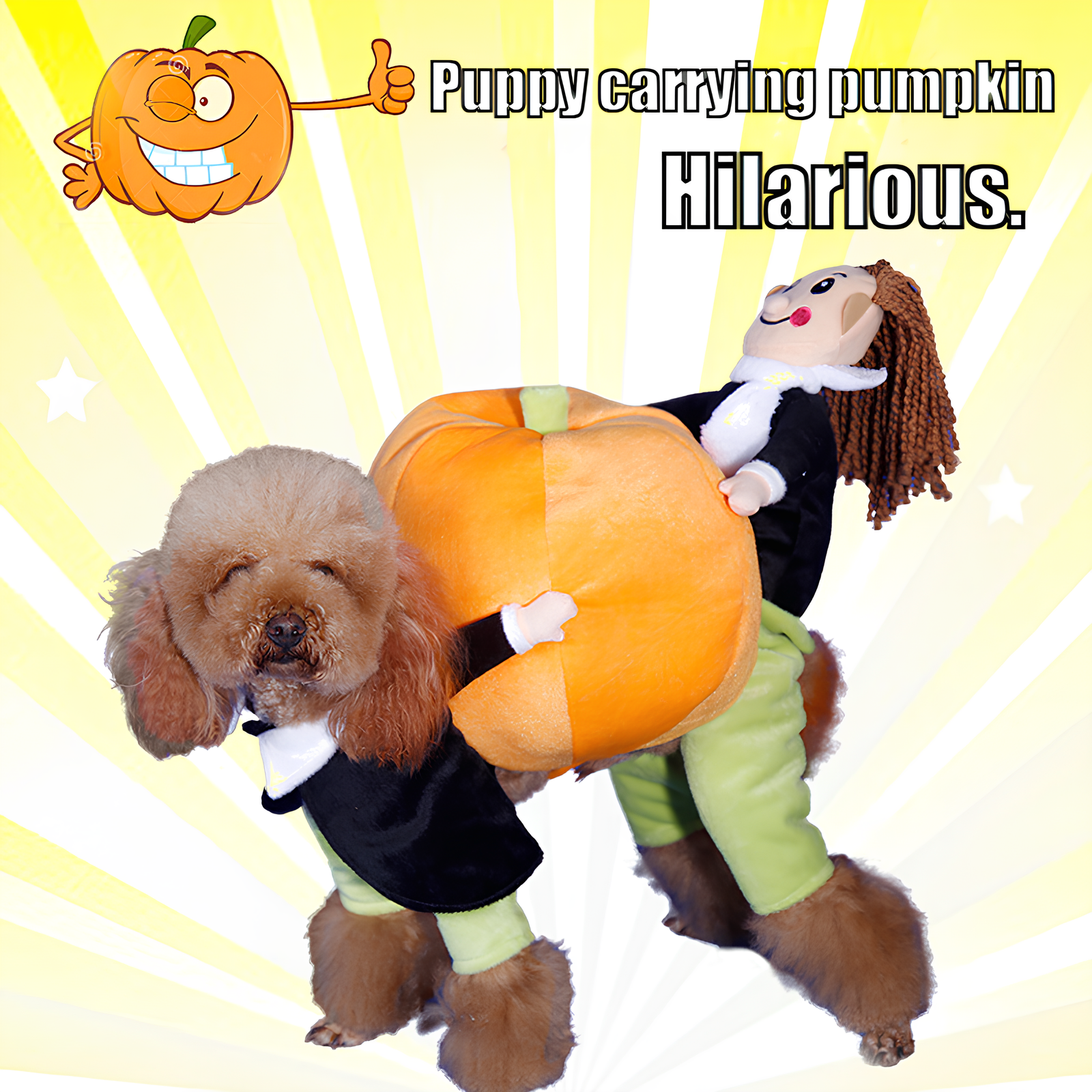 🔥Halloween Special 57% OFF - 🎃"Puppy Carrying Pumpkin" Halloween Costume