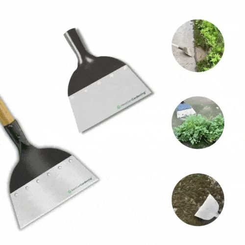 Stainless Steel Cleaning Shovel For Weeds And Moss