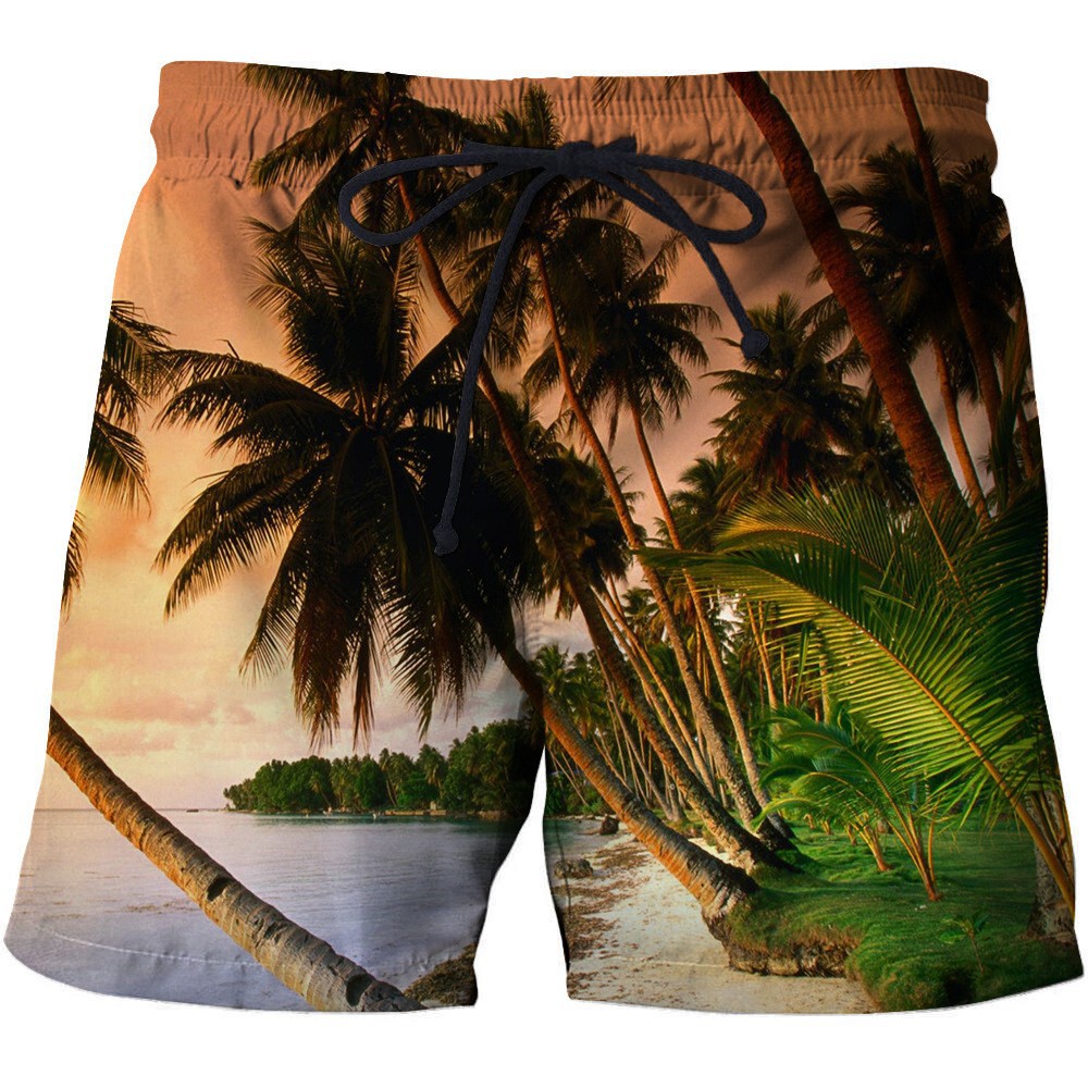 2023 new cross -border European and American men's summer loose casual fashion 3D digital printing beach shorts