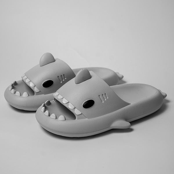 Shark Slides