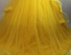 Moive Belle Princess Cosplay Costume Yellow Top Dress For Adults Women Girls Can Be Custom Made