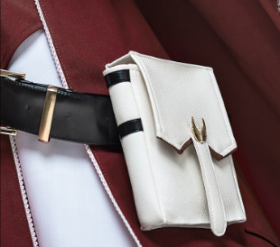 Anime For All Time Ayn Cosplay Costume High Quality Fashion Women Dress Costumes For Girls