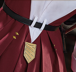 Anime For All Time Ayn Cosplay Costume High Quality Fashion Women Dress Costumes For Girls