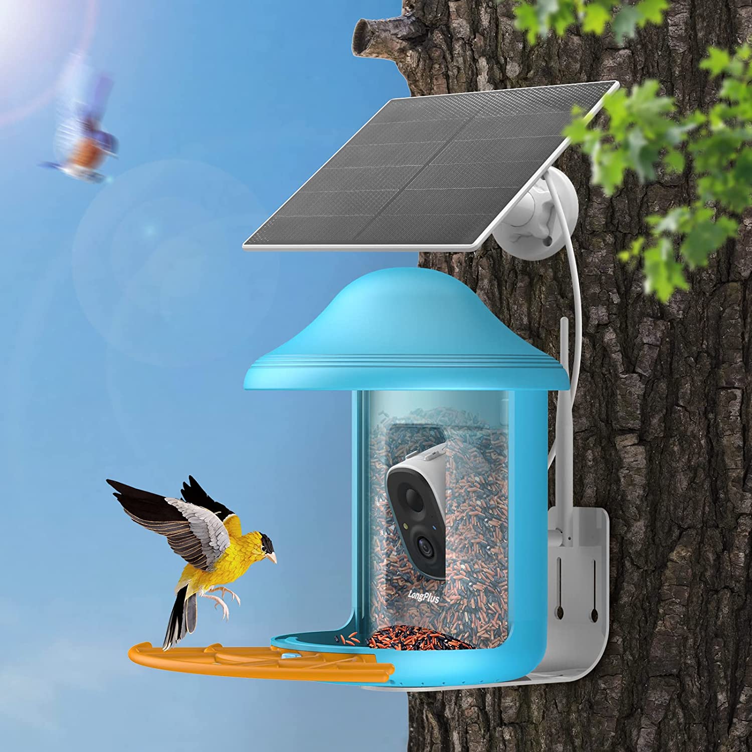 【AI BirdCare】2023 New!HOT! 2.0 Version Unique Patent Design Smart Bird Feeder Camera
