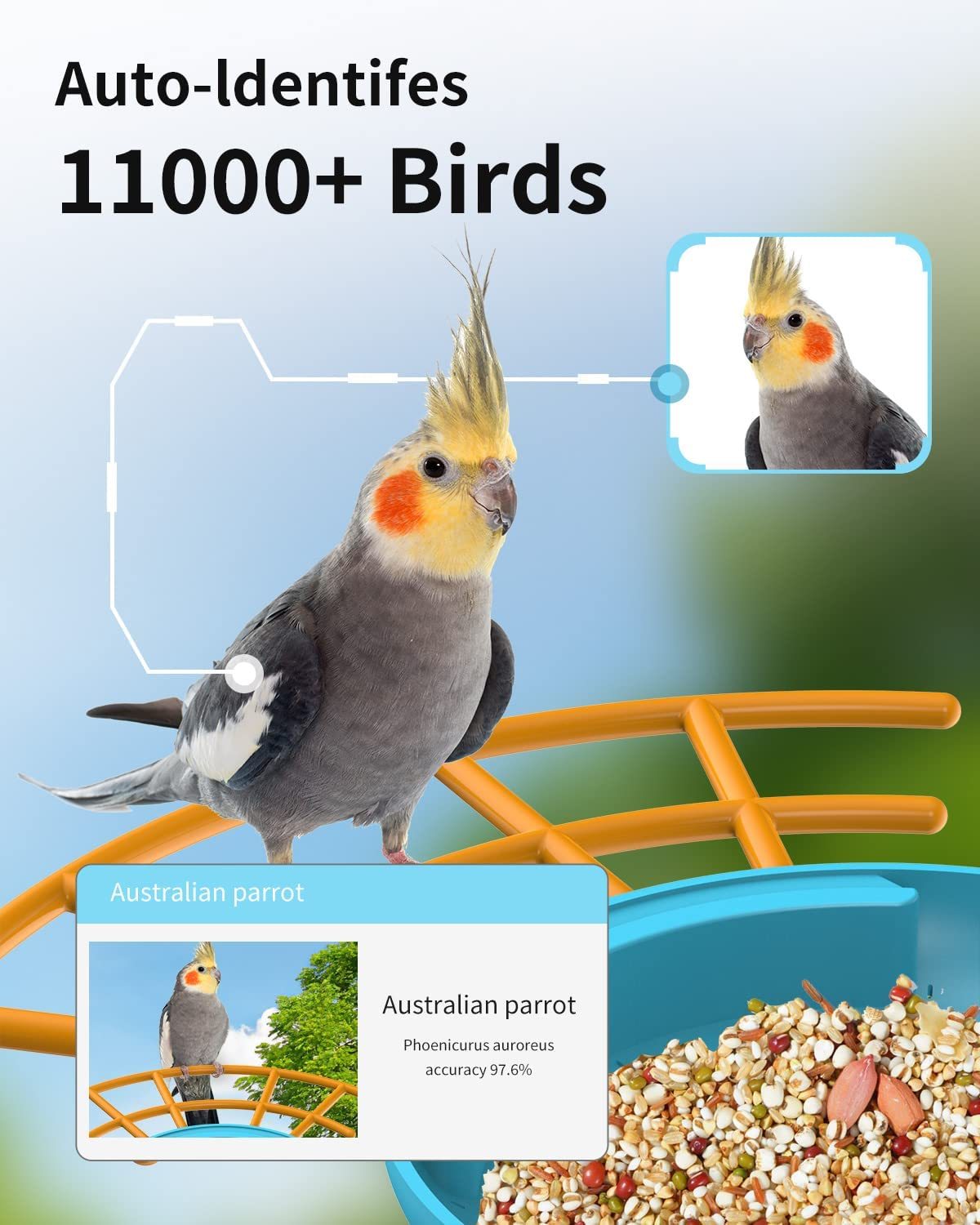 【AI BirdCare】2023 New!HOT! 2.0 Version Unique Patent Design Smart Bird Feeder Camera