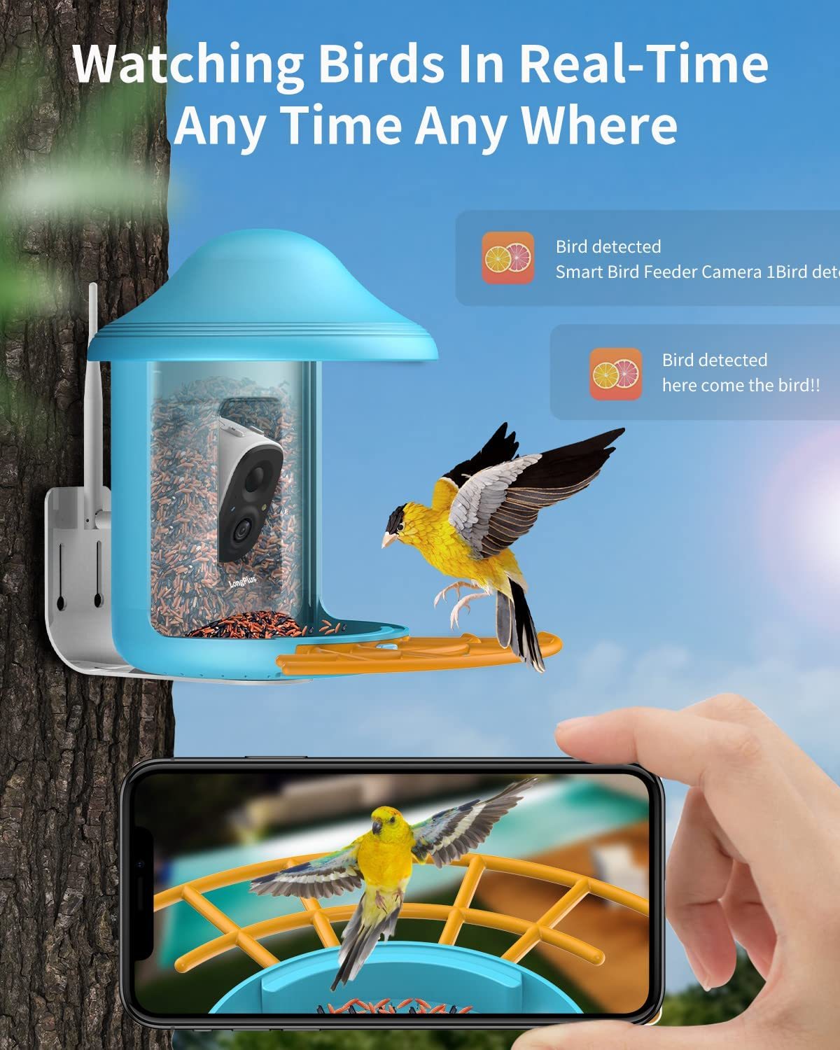 【AI BirdCare】2023 New!HOT! 2.0 Version Unique Patent Design Smart Bird Feeder Camera