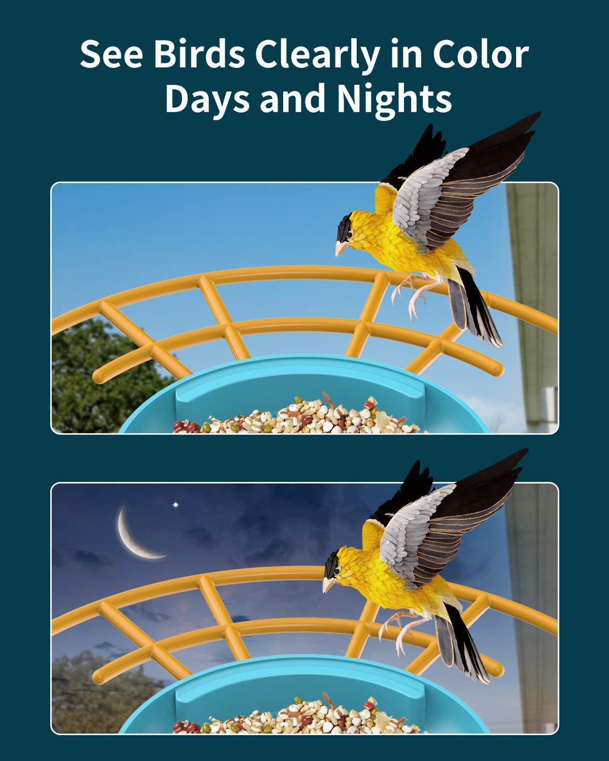 【AI BirdCare】2023 New!HOT! 2.0 Version Unique Patent Design Smart Bird Feeder Camera