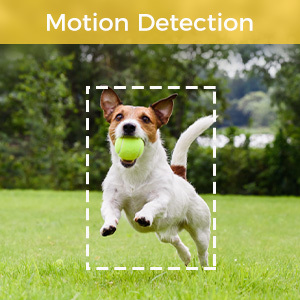 LongPlus X83 wireless cameras for home security with motion detection.