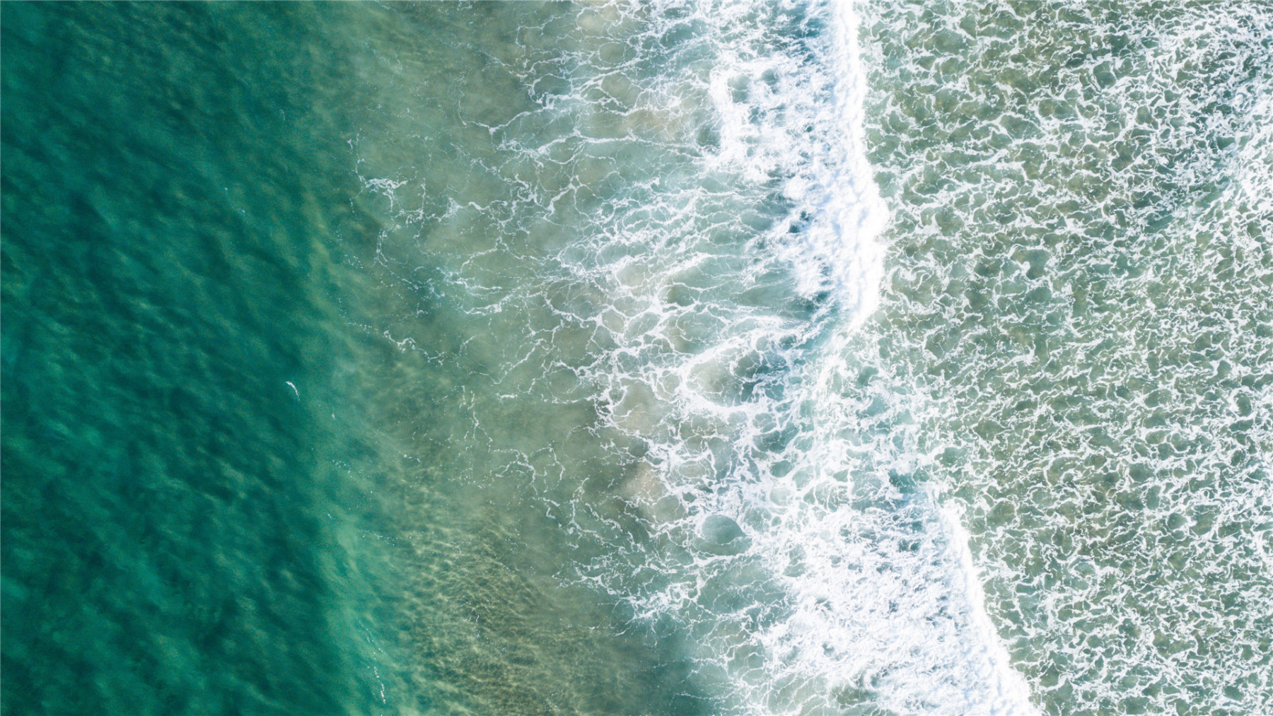 你要做一个不动声色的大人了。不准情绪化，不准偷偷想念，不准回头看。去过自己另外的生活。你要听话，不是所有的鱼都会生活在同一片海里。——村上春树《舞！舞！舞！》-88900-图片alt01