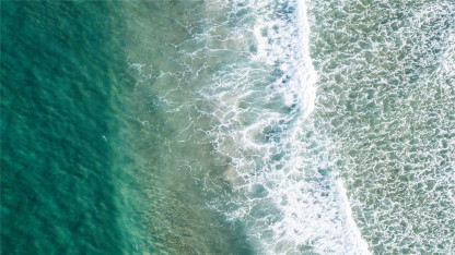 你要做一个不动声色的大人了。不准情绪化，不准偷偷想念，不准回头看。去过自己另外的生活。你要听话，不是所有的鱼都会生活在同一片海里。——村上春树《舞！舞！舞！》-88900-图片alt01