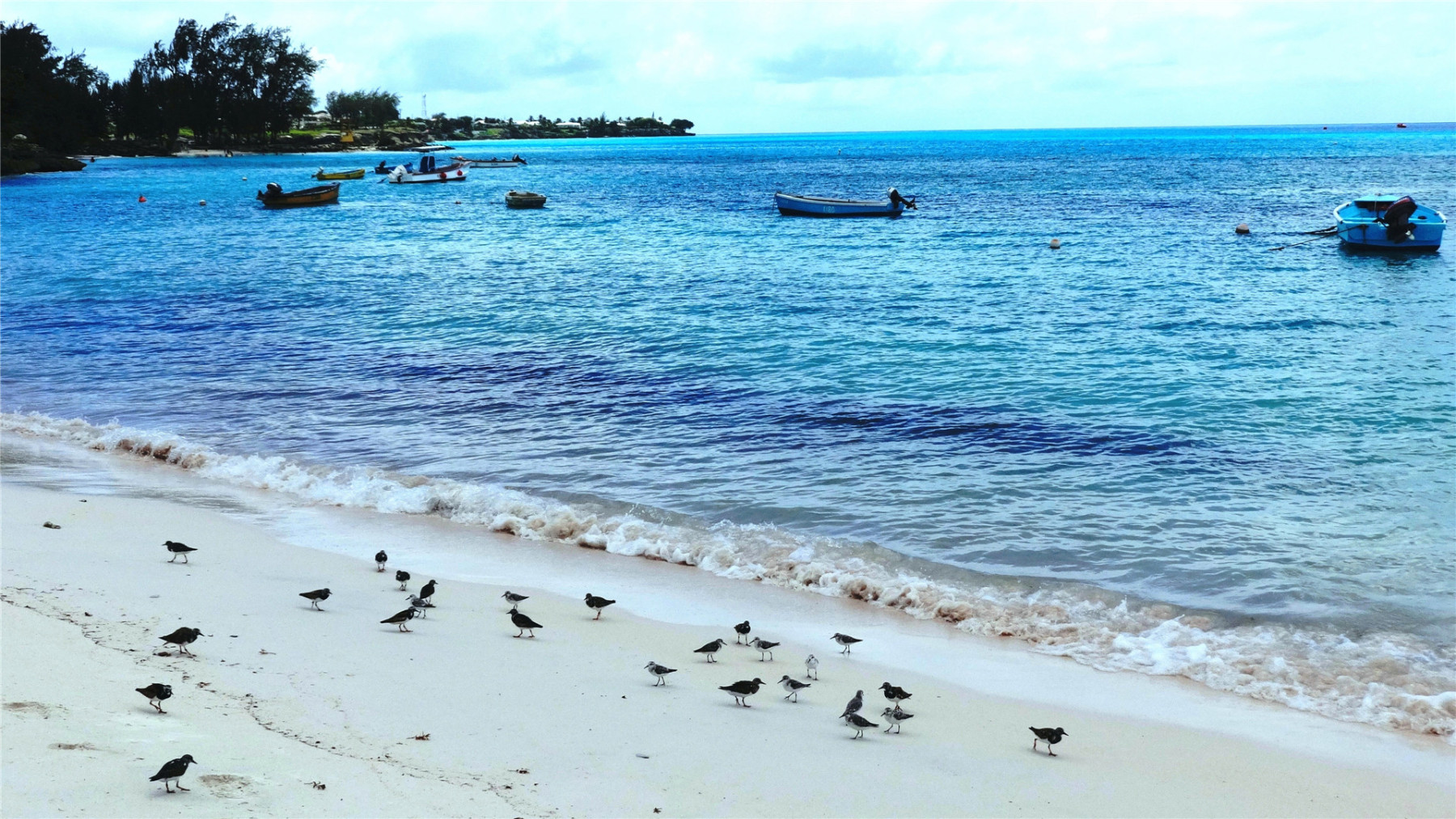 世上没有任何一个人能永远陪着另一个人。人与人之间无论相聚多久，最后的结局都是别离。不是死别，就是生离。——古龙《天涯明月刀》-88900-图片alt01