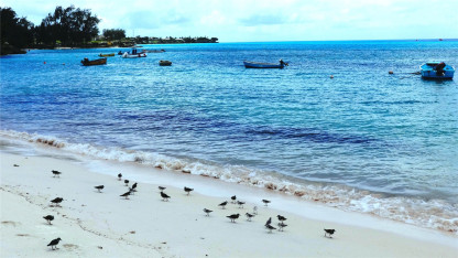 世上没有任何一个人能永远陪着另一个人。人与人之间无论相聚多久，最后的结局都是别离。不是死别，就是生离。——古龙《天涯明月刀》-88900-图片alt01