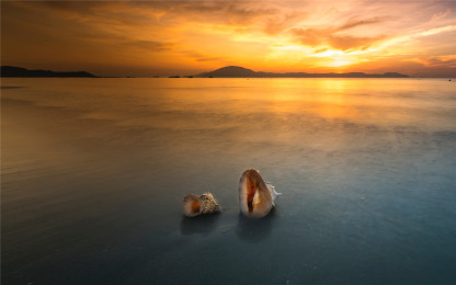 在我贫瘠的土地上，你是最后的玫瑰。——聂鲁达《二十首情诗与绝望的歌》-88900-图片alt01
