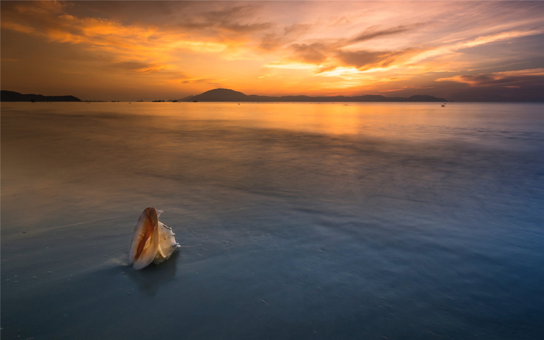 岁月极美，在于它必然的流逝。春花、秋月、夏日、冬雪。——三毛《岁月》-88900-图片alt01