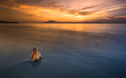 岁月极美，在于它必然的流逝。春花、秋月、夏日、冬雪。——三毛《岁月》-88900-图片alt01