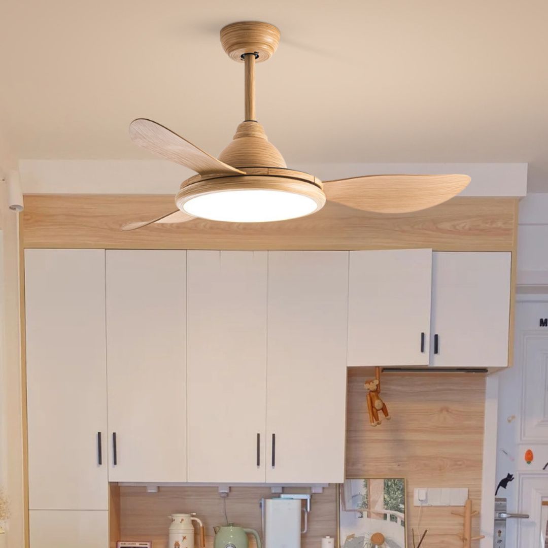 Nordic restaurant fan lamp living room bedroom bedroom frequency conversion silent ceiling fan lamp-labpiecesign