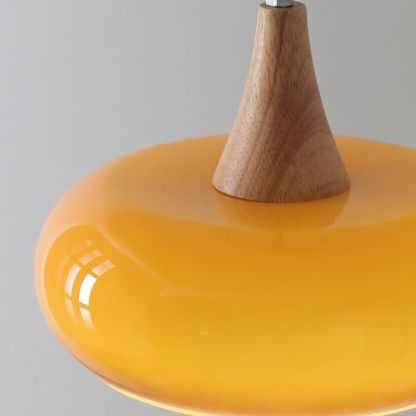Medieval Vintage Restaurant Bar Persimmon Pendant Light-labpiecesign