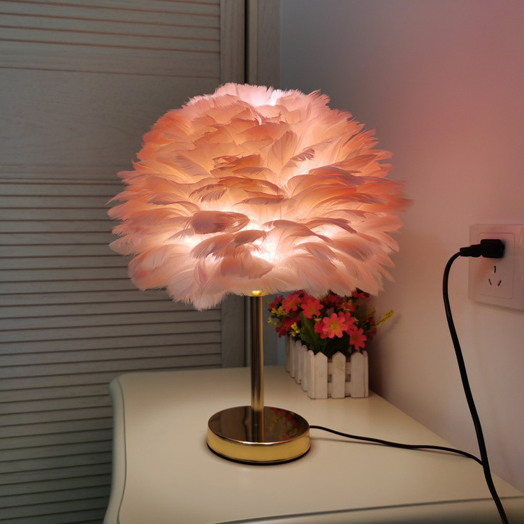 Nordic Style White Ins Feather Lamp