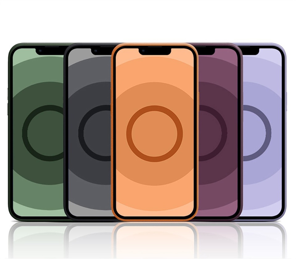 Magnetic Animated Leather Case For iPhone