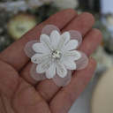 A#White 4.6cm 1 Flower