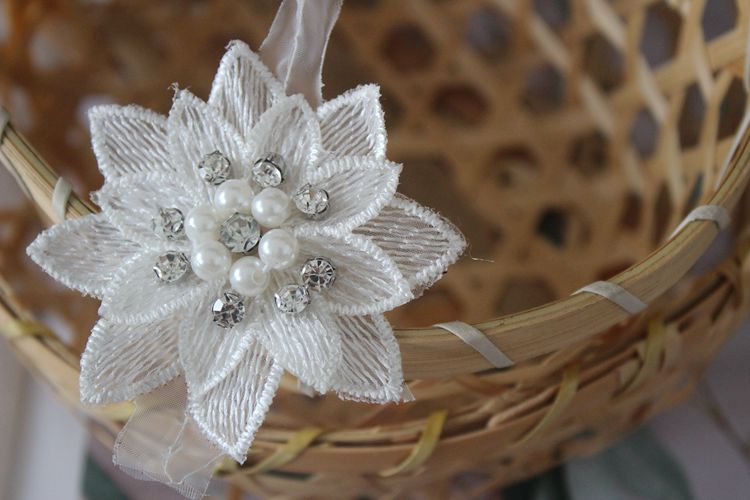 3D Rhinestone Beaded Lace Trims Fabric BT0033-Lace Fabric Shop