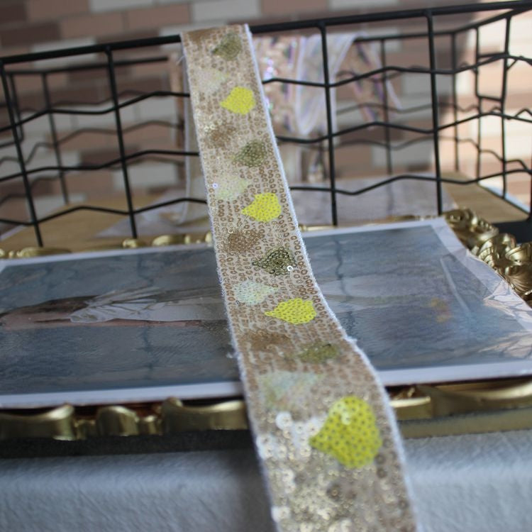 Luxury Shiny Sequins Beaded Lace Trims BT0077-Lace Fabric Shop