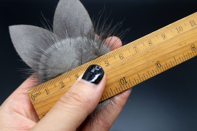 Fur Rabbit Brooch Coat Decoration BA0109-Lace Fabric Shop