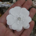 G#White 4.8cm 1 Flower