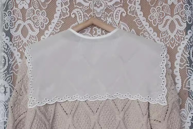 Embroidery Organza Laces DIY Collar EF0066-Lace Fabric Shop