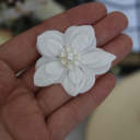 E#White 4.2cm 1 Flower
