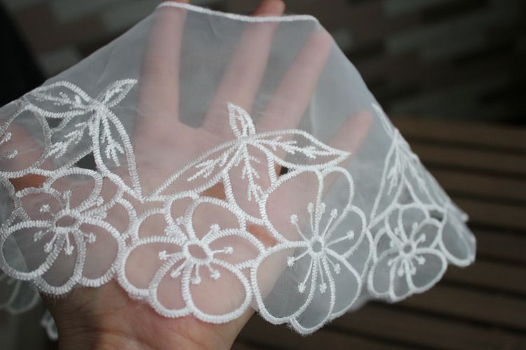 Embroidery Organza Collar Eyelet Fabric EF0071-Lace Fabric Shop