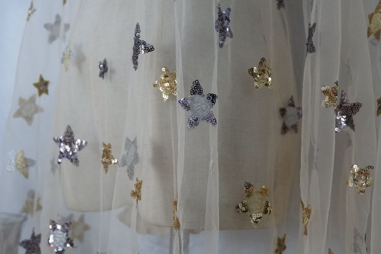 Sequins Embroidery Tulle Width 155cm TF0038-Lace Fabric Shop