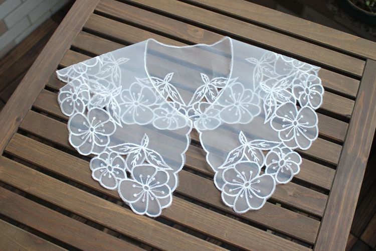 Embroidery Organza Collar Eyelet Fabric EF0071-Lace Fabric Shop