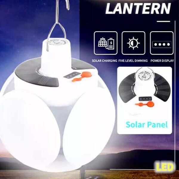 Lantern Electric light bulb