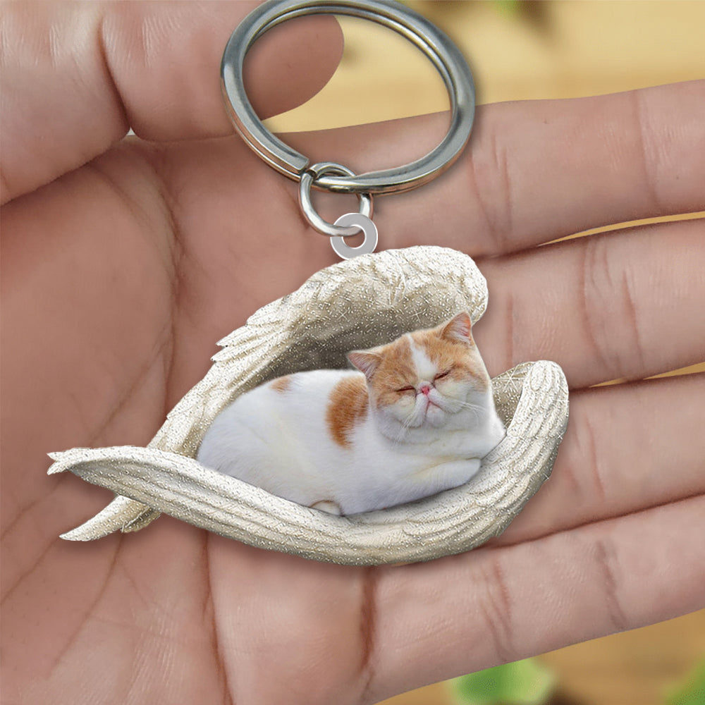 Cute Cat Key Chain Cat Ornament Decor Cat Lovers Gift DG64zz4 British Shorthair Cat sleeping in angel Ornament Gift For New Car