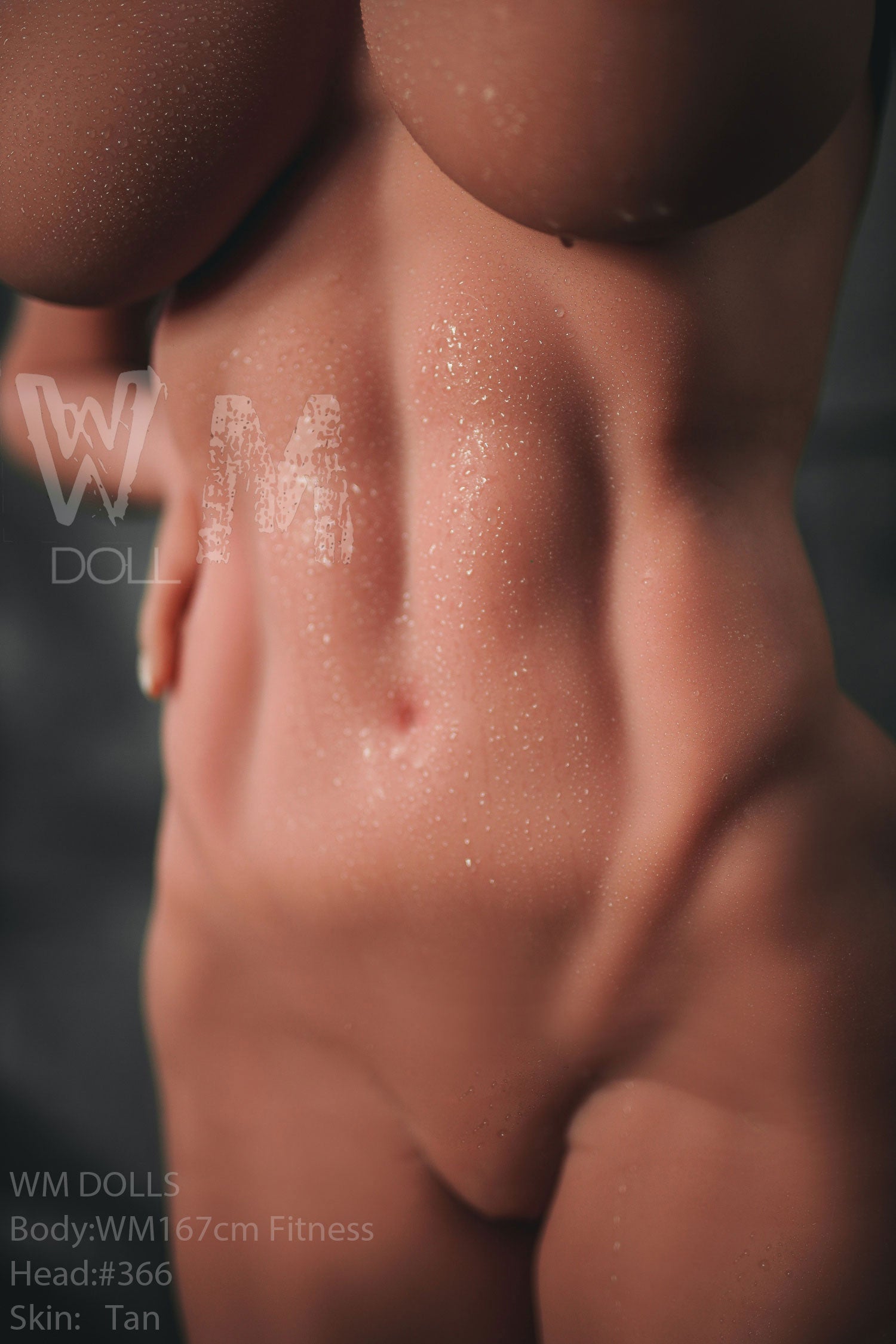 WM | Sasha May 5ft 6/ 167cm H Cup Fitness Sex Doll-First Love Doll