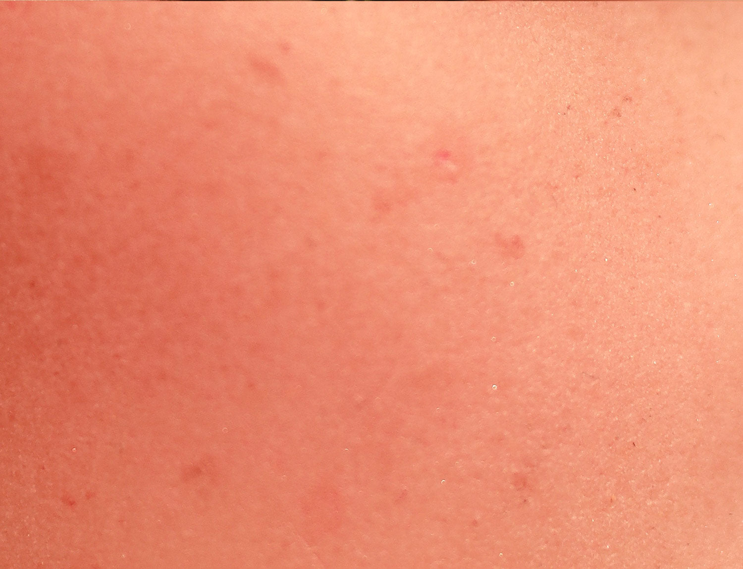 WM | Cherry 5ft 6/ 168cm D Cup Hybrid Sex Doll-First Love Doll