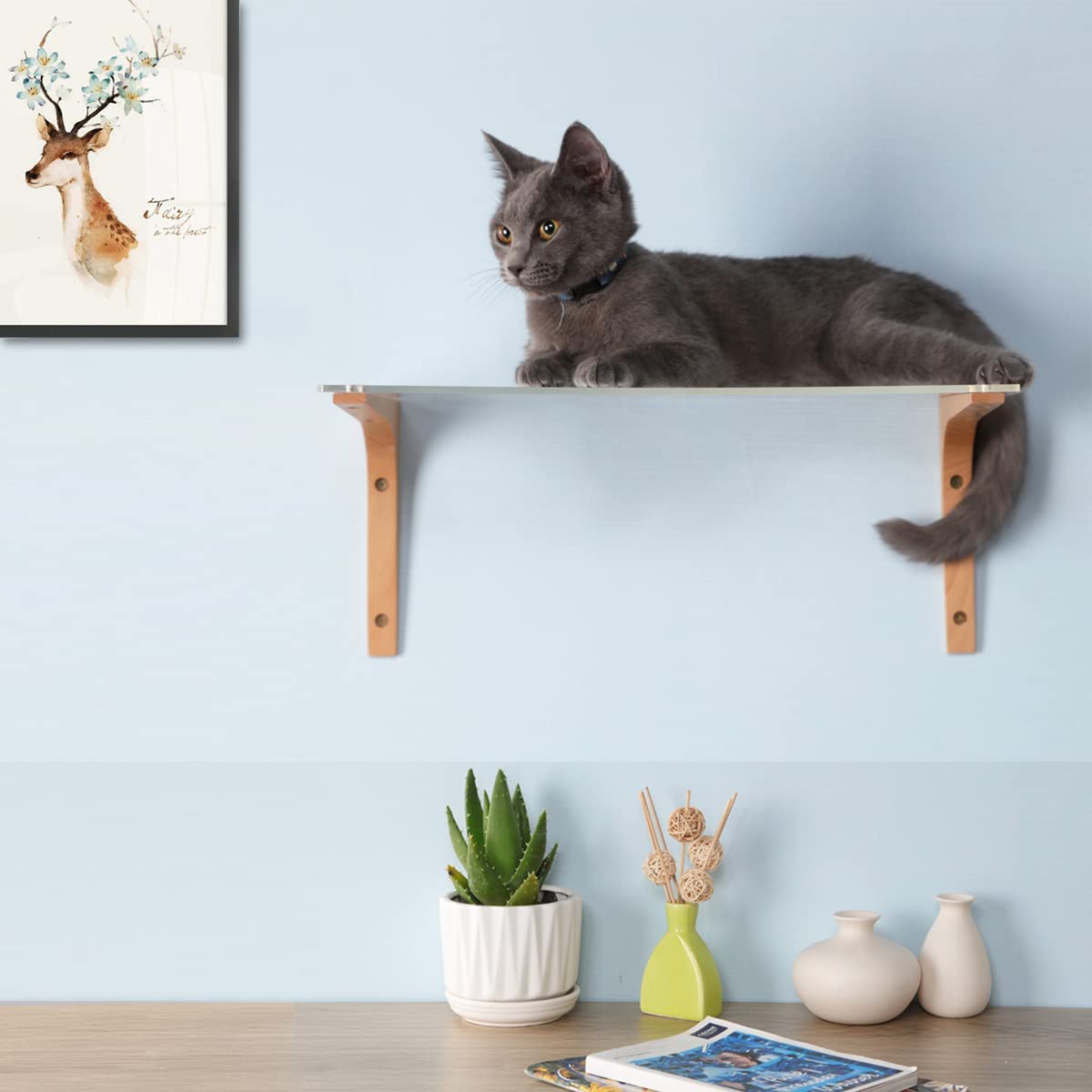 TAKEKIT Floating Cat Shelf for Wall, Clear Acrylic and Solid Wood Cat Wall Furniture, Wall Mounted Cat Perch and Cat Bed for Sleeping Playing Climbing and Lounging, Suitable for Kitty and Large Cat