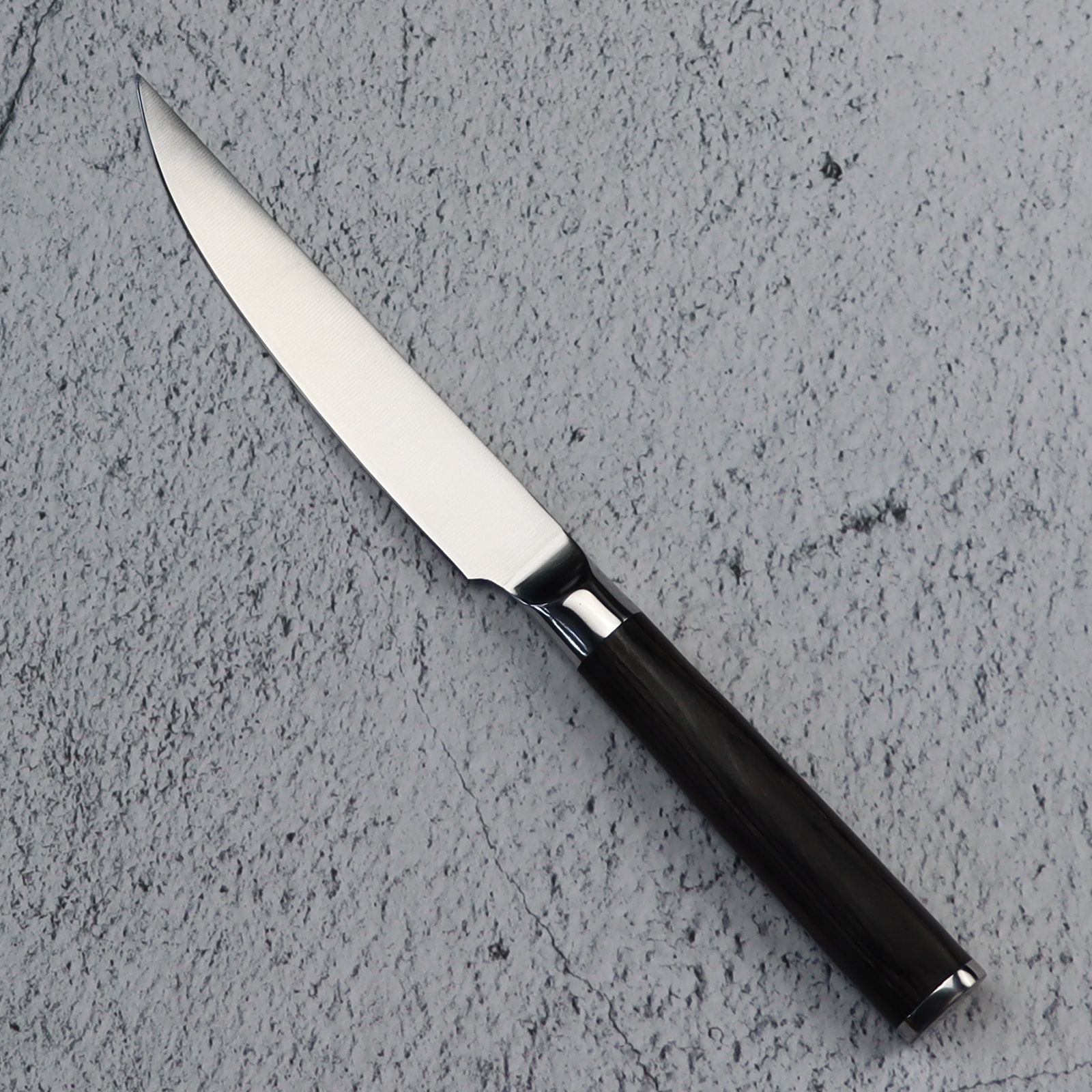 6Piece Stainless Steel Steak Knife Set