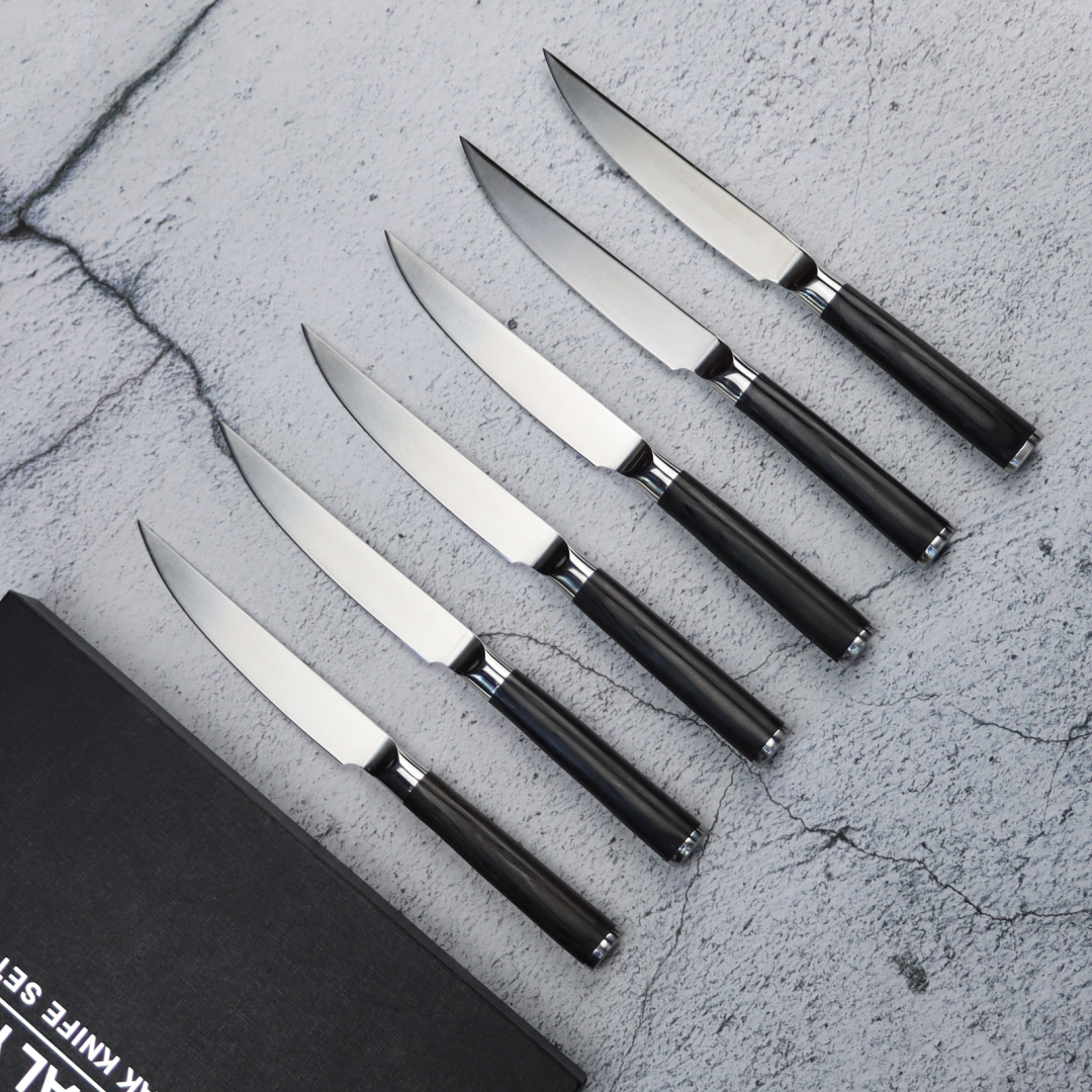  6-Piece Stainless Steel Steak Knife Set