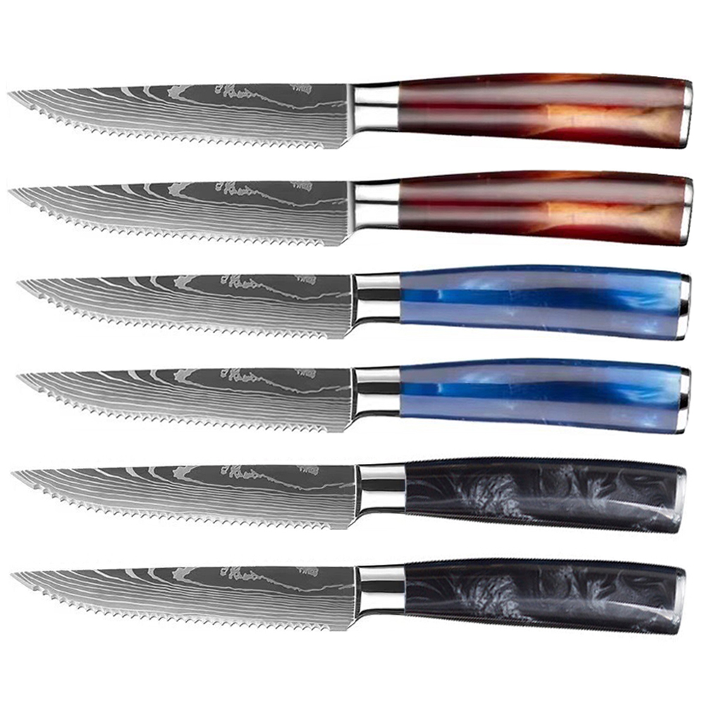 6 Piece Stainless Steel Steak Knife Set - Colorful Resin Handle